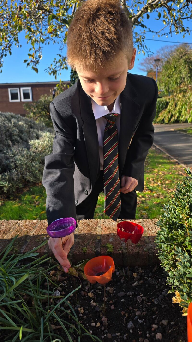 Image for the Tweet beginning: Planting our poppies as part